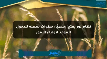 نظام نور يفتح رسميًا: خطوات سهلة للدخول الموحد لأولياء الأمور